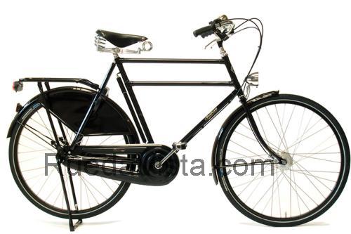 Pashley Roadster Sovereign ficha técnica y opiniones